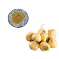 Hot Sale 100% 10:1 20:1 Maca Root Extract